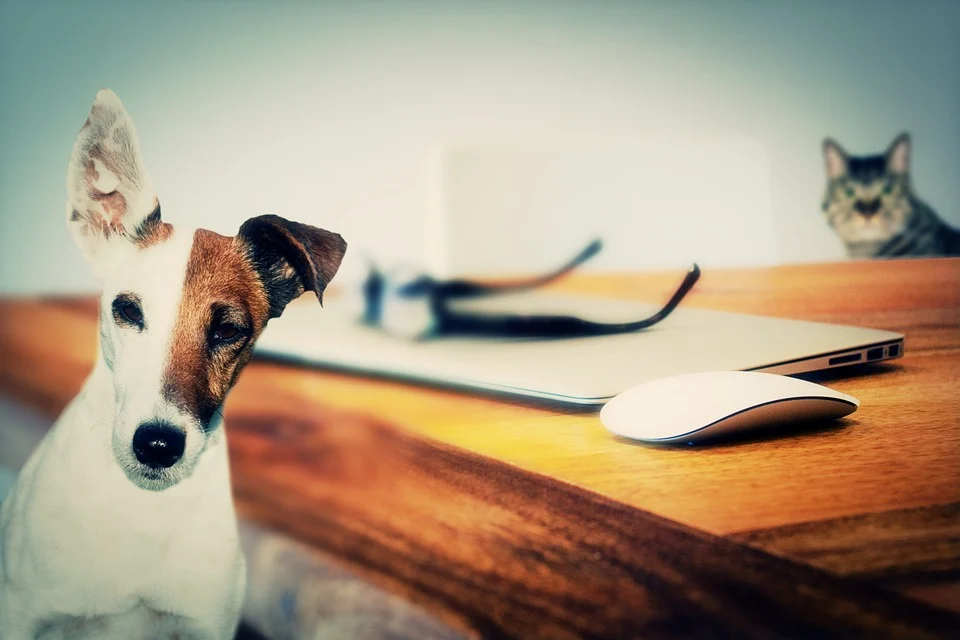 The Fair Work Ombudsman – an industrial watchdog with teeth