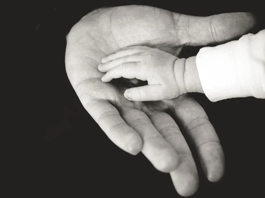 Paid Parental Leave Guide