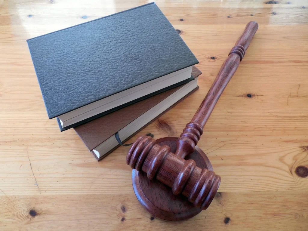 Supreme Court case brings into focus challenging aspects of guardianships and family – Case Note by Managing Partner, Hanaan Indari