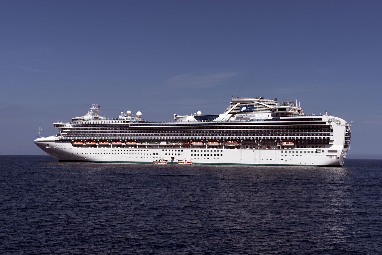Three Crucial Mistakes – Ruby Princess Inquiry