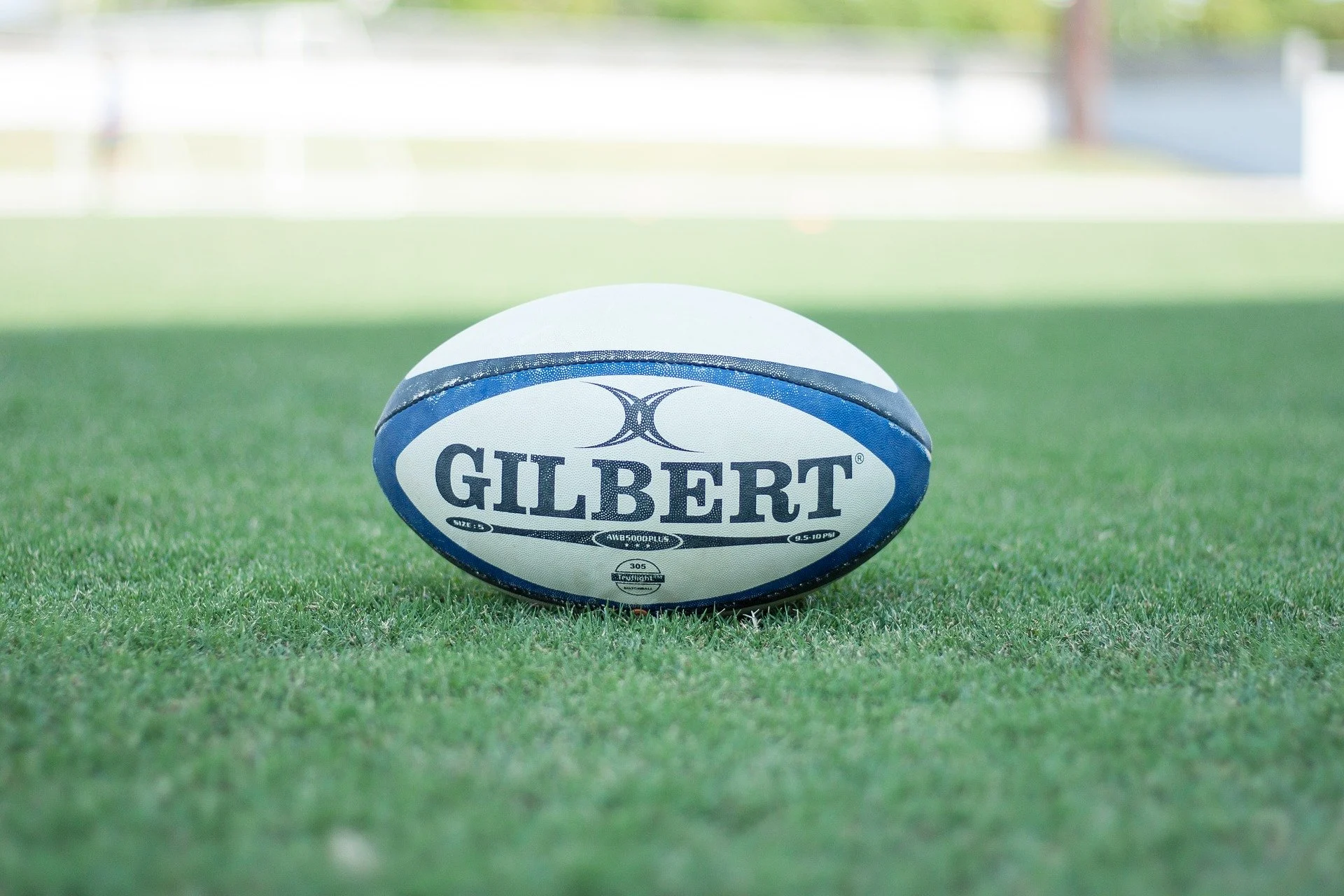 What a Greg Inglis Try Assist Can Teach Us About Legislative Interpretation