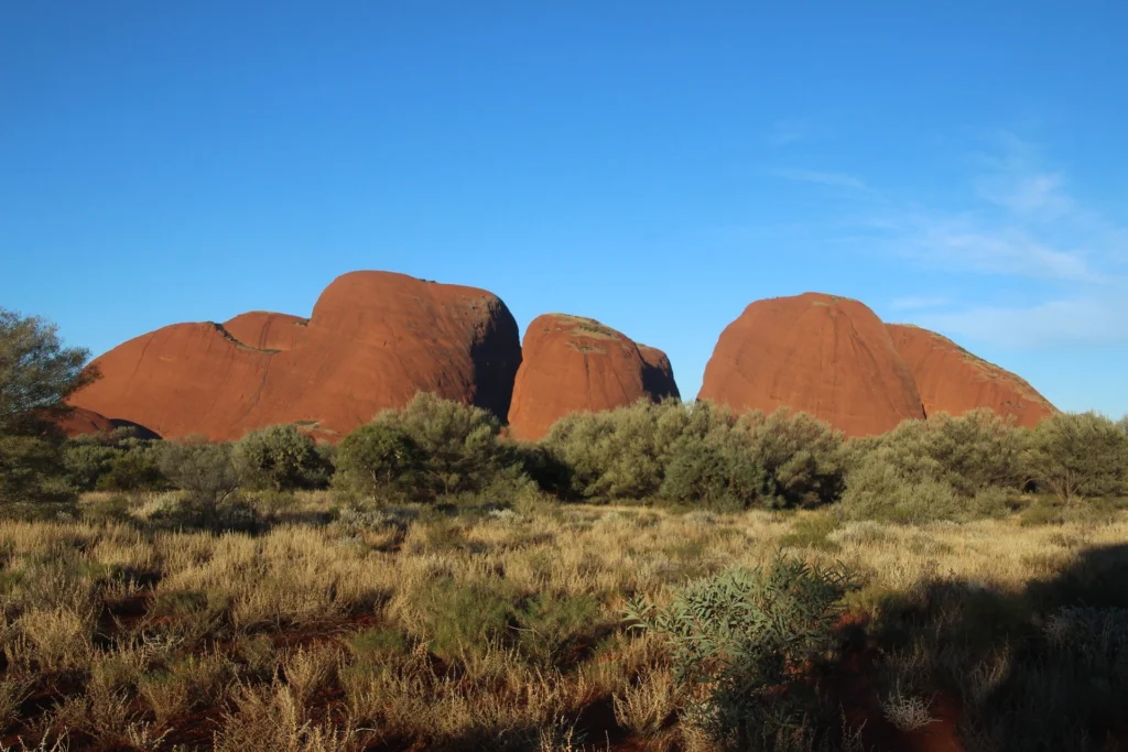 Compensation Scheme Announced For NT & ACT Stolen Generations’ Survivors